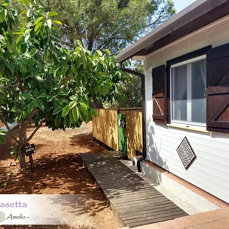 Guest house Domus Amelio - Country *